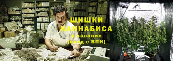 МДПВ Абаза