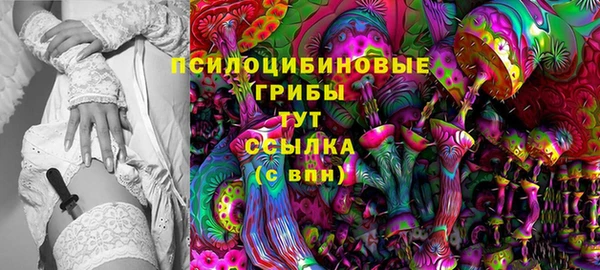 индика Рославль