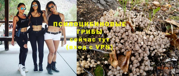 стафф Абдулино