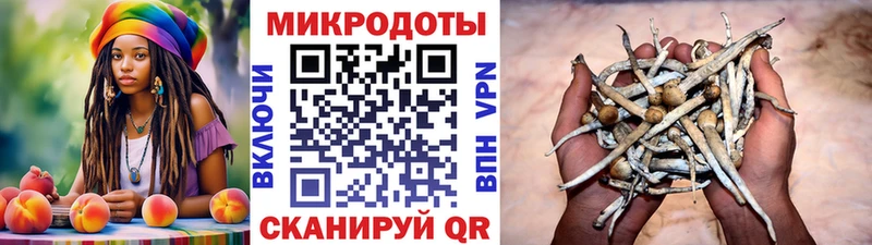 купить наркотик  Инта  Псилоцибиновые грибы Cubensis 